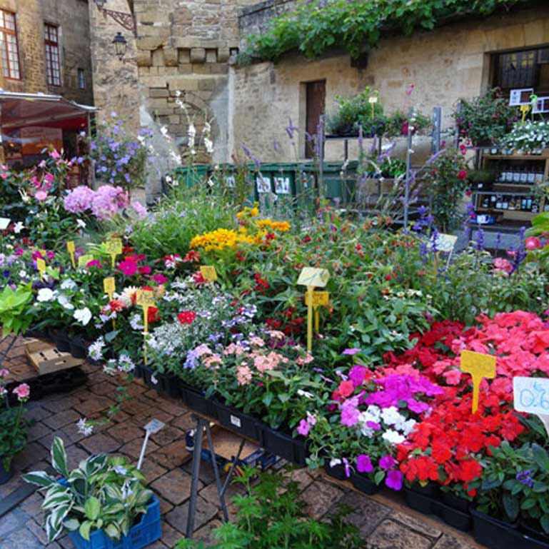 Sarlat Market